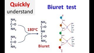 Biuret test [upl. by Berty]