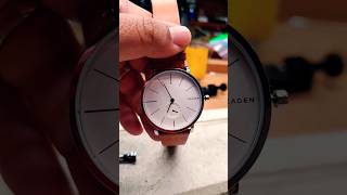 Skagen screeback watch battery change [upl. by Artamas204]