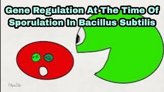 Gene Regulation At The Time Of Sporulation In Bacillus subtilis [upl. by Esertal]