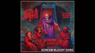 DEATH  SCREAM BLOODY GORE guitar backing track with Voice drum amp bass [upl. by Einoj]