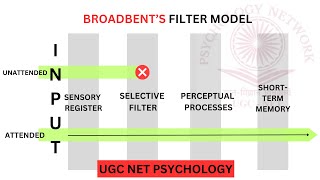 Broadbents Filter Model  Dichotic Listening Task  Cocktail Party Effect Models of Attention UGC [upl. by Llyrat]