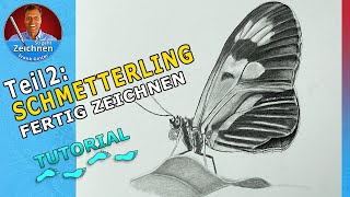 Teil2 Schmetterlinge zeichnen für Anfänger  Schmetterling mit Bleistiften zeichnen Tutorial [upl. by Mihcaoj]