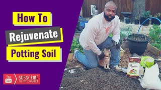 How To Rejuvenate Potting Soil [upl. by Chambers]