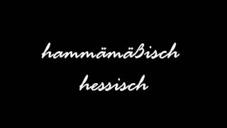 Willy Atsor  Hammämäßisch Hessisch Lyrics in der Beschreibung [upl. by Aleirbag]