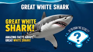 Did you know the secret fact about the great white shark [upl. by Novihs413]