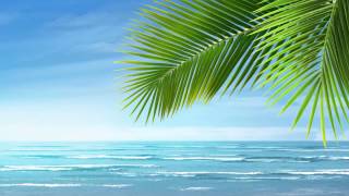 Background Video HD Beach [upl. by Nyrraf]