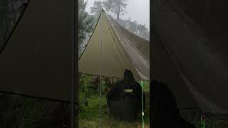 Solo Camping Real Heavy Rain 🌧🌩  Relaxing Camping Heavy Rain  Rain ASMR shorts [upl. by Allertse936]