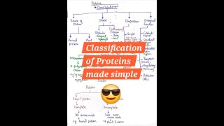 protein classification [upl. by Wrigley]