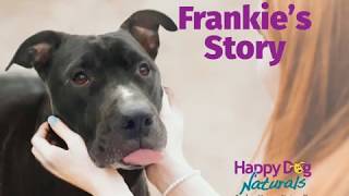 Mite Avenge® Mange Treatment – Frankies Story [upl. by Palmer550]