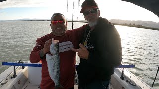 Fishing for sturgeon Suisun  grizzly bay lost opportunity on stripers 1122024 [upl. by Ymmac374]