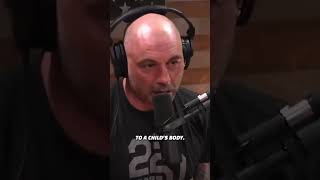 Joe Rogan Leaves Woke Guest SPEECHLESS After One Simple Question [upl. by Ruhtra]