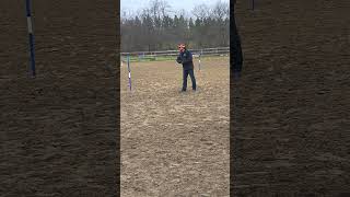 Ball and cone at mounted games clinic with coach Dan [upl. by Conrad54]