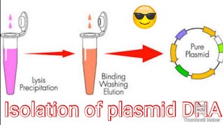 isolation and purification of plasmid DNA IN HINDI [upl. by Sven]