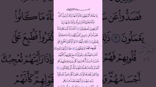 Surah AlMunafiqun shorts quran [upl. by Aileahcim137]