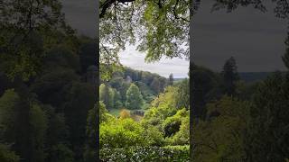 Autumn at Stourhead 🍂 england wiltshire stourhead autumndays autumnwalk autumn uk uktravel [upl. by Quintin]