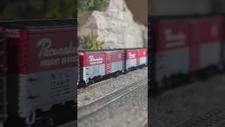 N scale Broadway Limited Imports DCCsound Pacemaker freight train rasch studios custom caboose 1160 [upl. by Cristin]