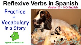 Learn Reflexive Verbs in Spanish  Vocabulary  Practice in a Story [upl. by Annoeik]