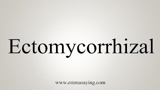 How To Say Ectomycorrhizal [upl. by Vaientina754]