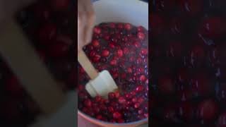 The perfect Homemade Cranberry Sauce in under 1 minute in time for Thanksgiving Cranberrysauce [upl. by Gefell]