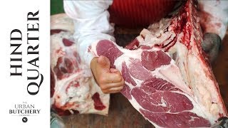 Beef Hind Quarter  Professional butchery up close [upl. by Yslehc853]