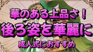 【振袖帯結び 2024年】華のある上品さ！！後ろ姿を華麗に 成人式におすすめ【簡単帯結び】 [upl. by Ecadnac]