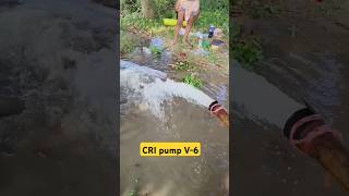 3Hp submersible pump submersible viralvideo agriculture [upl. by Airalav283]