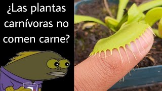 ¿Plantas carnívoras o insectívoras [upl. by Zitvaa]