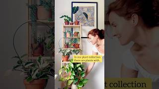 Plants are so amazing and diverse 💚 collection plants houseplants plantcollection [upl. by Anglo]