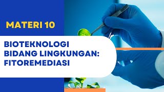 Bioteknologi Pertemuan 10 Bioteknologi Lingkungan Fitoremediasi [upl. by Martin]