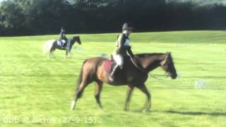 Atleast we stole the show Sunshine Tour Hickstead 2015 [upl. by Chelsy447]