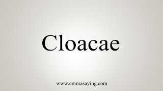 How To Say Cloacae [upl. by Uah]