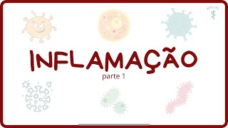 Inflamação  Definição parte 1 [upl. by Alix521]