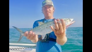 EPIC SPANISH MACKEREL FISHING OFF SHARK ISLAND  CATCH CLEAN AND COOK [upl. by Onaicram237]