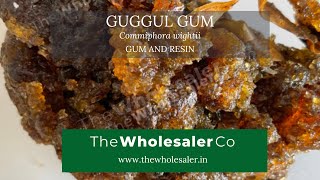 Guggul Gum  Commiphora wightii  TheWholesalerCo [upl. by Reimer566]