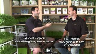 Soil Vs Hydroponic wheatgrass Growing microgreens in soil vs no soil Michael Bergonzi [upl. by Ulla]