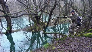 The Forgotten Pond Flooded The Fish Were EVERYWHERE [upl. by Nwahsat]