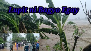 Bagyo Egay ipinakita Ang anglakas Hangin at Ulan [upl. by Lsil725]