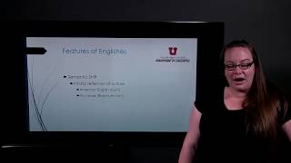 Features of New Englishes  World Englishes [upl. by Savitt]