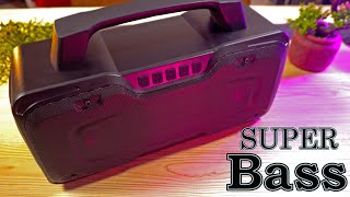 BUGANI 80W Powered Bluetooth Speakers  Indepth Review [upl. by Oiled]