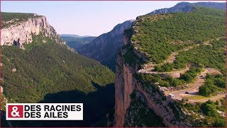 La route idéale pour admirer les Gorges du Verdon [upl. by Niliak]