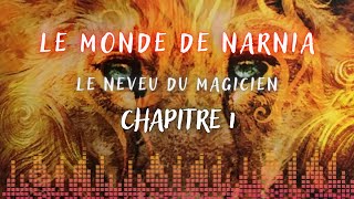 Le Monde de Narnia  Tome 1  Le Neveu du Magicien  Chapitre 1 [upl. by Naus378]