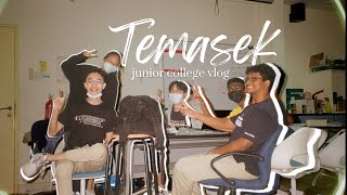 vlog my 6 best months in temasek jc  🇸🇬 singapore a level student [upl. by Atinaej970]