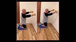 Midsection dynamic stability workout idea strengthcoach strengthtips homeworkout [upl. by Lleral548]