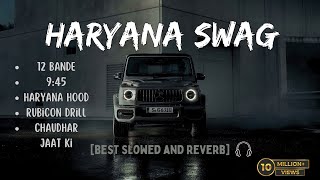 Haryana Swag🔥🥶  Best Slowed and Reverb Songs   Top Attitude Songs🔥 [upl. by Dukie]