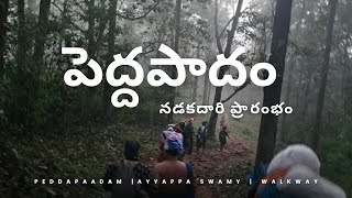 Pedda Paadam 2024 Is Open Now  Walkway Photos  Ayyappa Swamy Traditional Walkway Erumely to Pamba [upl. by Nwahsid817]