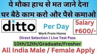 Ditto Work From Home Jobs 2024  Customer Service Jobs From Home  Online Jobs at Home  Freshers [upl. by Oiramal761]