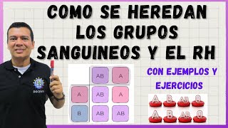 COMO SE HEREDAN LOS GRUPOS SANGUÍNEOS FACTOR RH Con ejercicios y ejemplos [upl. by Terb]