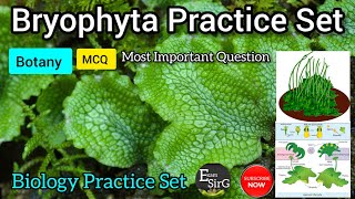 Bryophytes mcq questions  Bryophytes practice set  Bryophyta MCQ  Bryophyta Question answer [upl. by Locke]