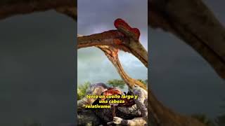 Quetzacoatlus El dinosaurio volador más grande de todos los tiempos quetzalcoatlus Top10 [upl. by Venn]