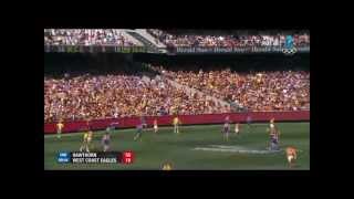 AFL 2015 Grand Final West Coast v Hawthorn Replay [upl. by Nothgierc809]